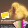 Pantone