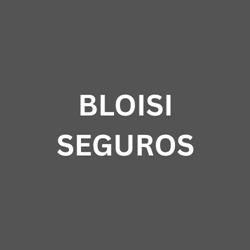 Bloisi Seguros