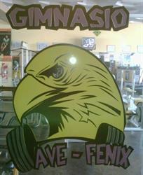 Gimnasio Ave Fenix