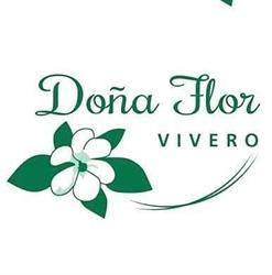 Doña Flor
