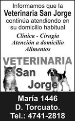Veterin San Jorge
