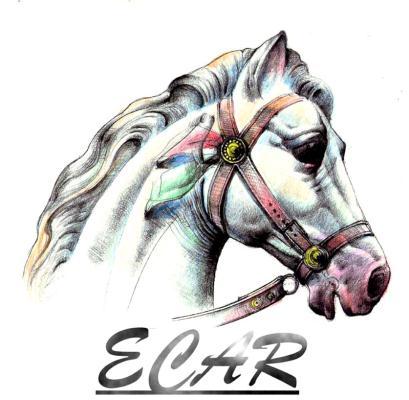 Ecar Calesitas y Carousels
