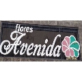 FLORERIA AVENIDA