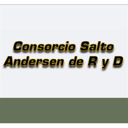 CONSORCIO SALTO ANDERSEN DE RYD