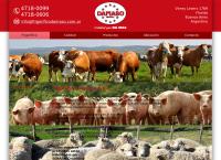 Sitio web de Frigorifico Damaso SRL