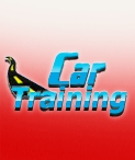 Academia Car Training