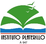 Instituto Platerillo