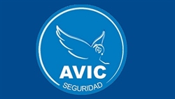Avic Satelital Srl