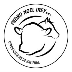Pedro Noel Irey Srl