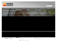 Sitio web de Ternium Argentina S.A.