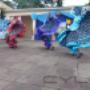 Subido por visitante en 10/8/2016