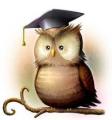 TRADUCTOR DE LATIN - - -