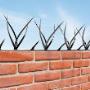 Pinches de seguridad