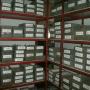 stock
