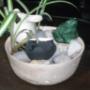 minis fuentes de agua
