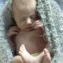 newborn