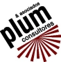 Plum y Asociados Consultores