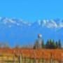 Fincas en San Carlos