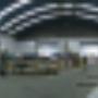 Planta