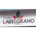VIVERO LA BELGRANO - SIEMBRA DE CESPED