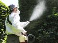 Fumigaciones | Urbeco