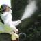 Fumigaciones