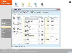Instel Software