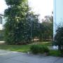 PARQUE