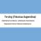 Te-Arg-técnica-Argentina-