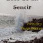 Ecos de un sentir (ebook poesía)