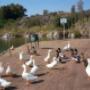 lugares de ocio