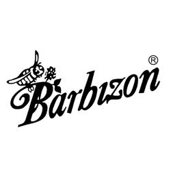 Linea Barbizon S.A