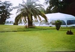 Carpas Irazu