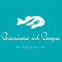 Somos Pescadería del Parque - Rotisería del Mar, venta de Pescados y Mariscos, Nacionales e Importados, con más de 50 años de experiencia
dedicado a la elaboración de toda comida preparada como, paellas, cazuelas, sushi, empanadas, rebozados y gran variedad en ensalda de mariscos, 
entre otras variedades.

Nuestra prioridad es la satisfacción de nuestros clientes, por tal motivo trabajamos día a día para deleitar los paladares más exisitos en frescura y calidad
de nuestros productos y especialidades.