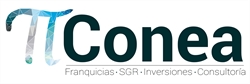 CONEA S.A. asesoramiento integral para empresas