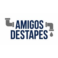 Amigos Destapes