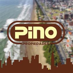 Pino propiedades