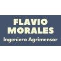 Ingeniero - Agrimensor Flavio Morales