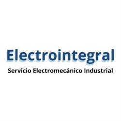 Electrointegral