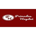 Peinados Haydee