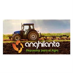 NELSO S ANGHILANTE SRL