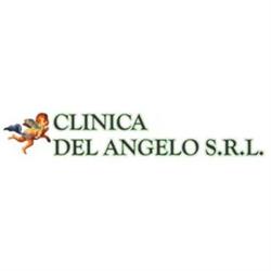 Clinica del Angelo SRL