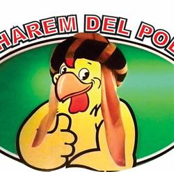 El Harem Del Pollo