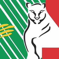 Supermercado El Puma