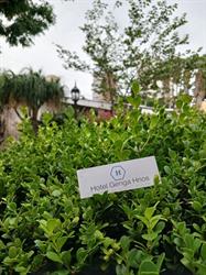 Hotel Genga Hermanos