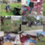 Subido por visitante en 5/2/2016