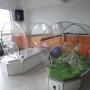 Circuito de Entrenamiento