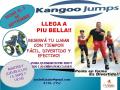 Kangoo Jumps