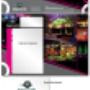 Diseño Impresos 2