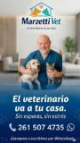 El doctor
